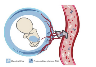 NIFTY test NIPT ZC Dravlje